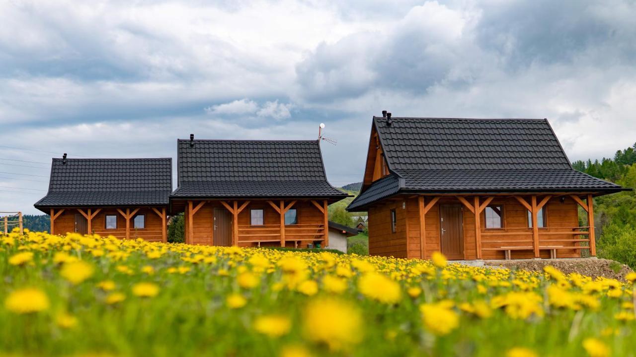 Chatki Niwki U Zboja Krościenko Exteriér fotografie